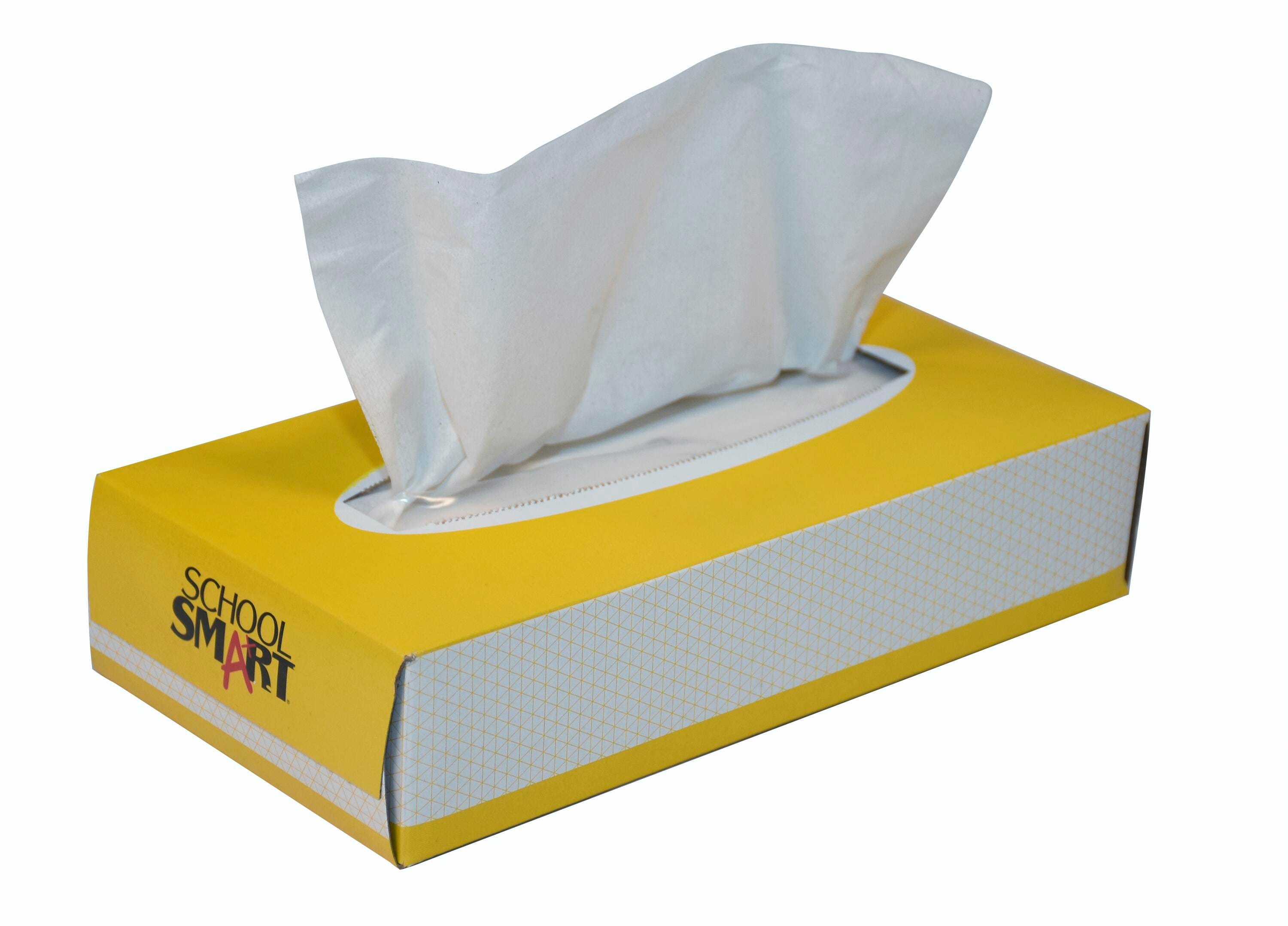 School Smart 2-Ply Facial Tissues, 100 Tissues Per Box, Pack of 30 Boxes 2000690